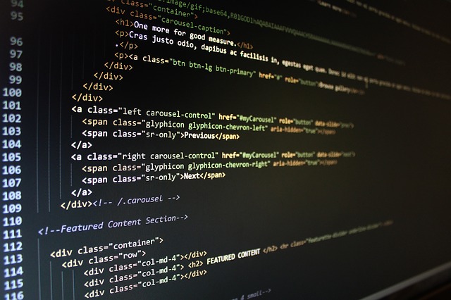 Survey finds primary schools favour coding language, Python, over French 